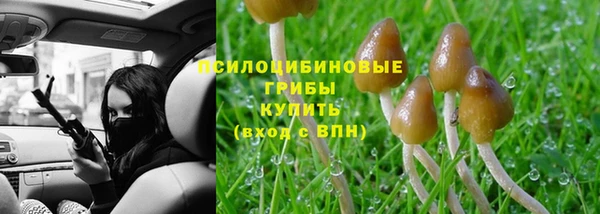 гидропоника Алексеевка